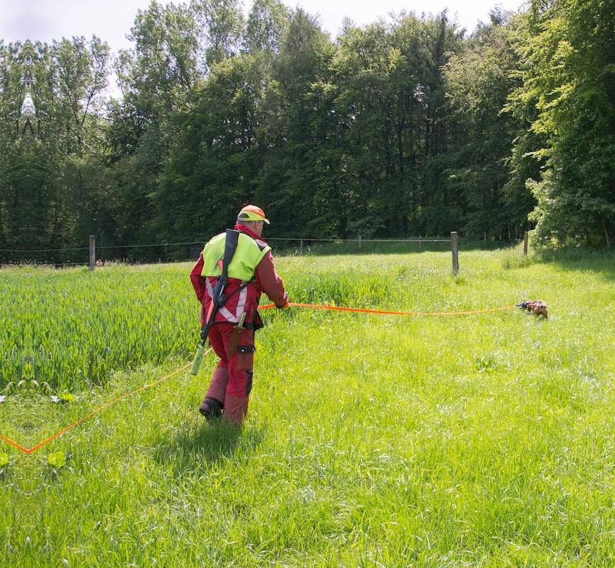 Schweißhundführer bei der Riemenarbeit